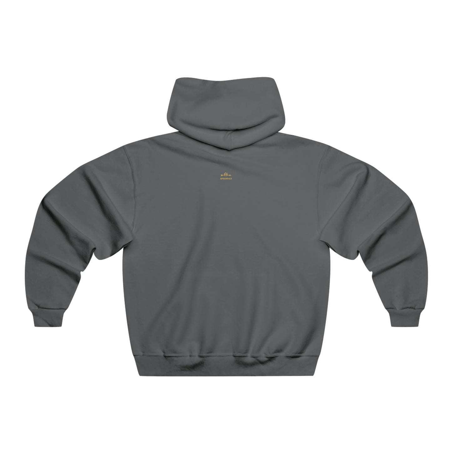 Apharonix Men's Hoodie